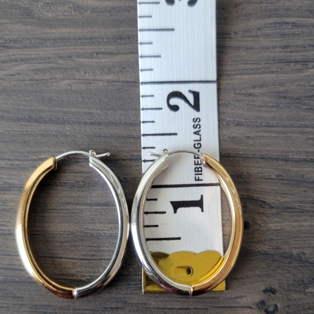 Fossil Hoop Earrings